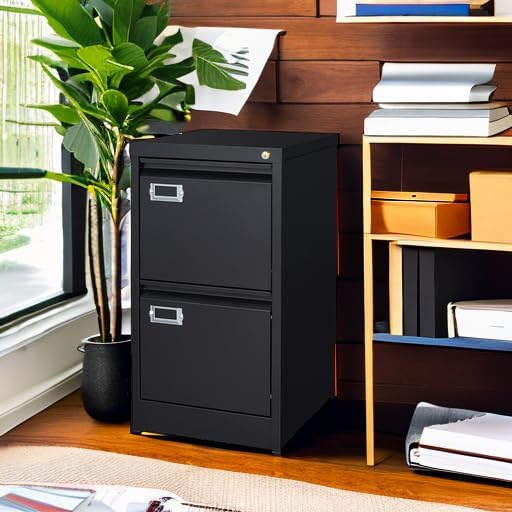 BYNSOE 2 Drawer File Cabinet with Lock Metal Vertical Filing Storage Cabinet Office Home Steel Vertical File Cabinets for A4 Legal/Letter Size Narrow File Cabinet Locked,Assembly Required