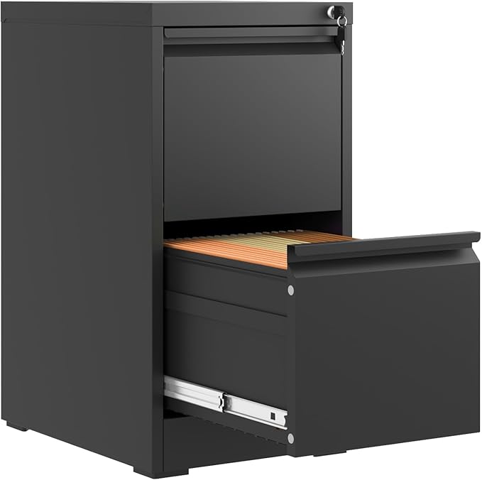 FLIXELIO 2 Drawer File Cabinet with Lock,Metal Vertical Filing Cabinets for Home Office,Heavy Duty File Storage Cabinet for Letter/Legal/A4/F4 Size File,Assembly Require (Black, Vertical 2 Drawer)