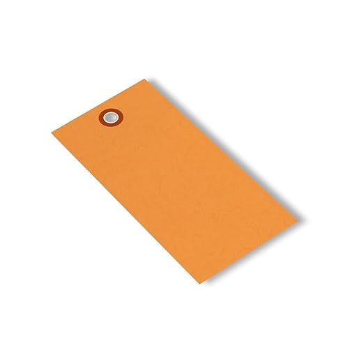 SmartSign (Pack of 100) 4.75 x 2.375 inch “Orange” Blank Tyvek Shipping Tags with Metal Eyelets, Size #5, 8 mil Thick Tyvek, Made in USA