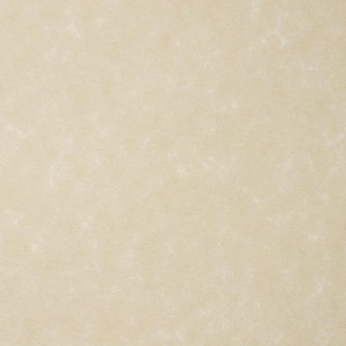 LUXPaper 8.5" x 11" Paper | Letter Size | Cream Parchment | 60lb. Text | 500 Qty