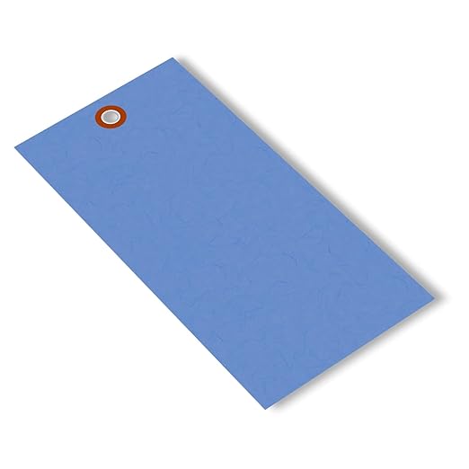 SmartSign (Pack of 100) Blue Blank Tyvek Shipping Tags with Metal Eyelets, 6.25 x 3.125 Inches, Size #8, 8 mil Thick, Durable for Shipping, Inventory, and Color Coding