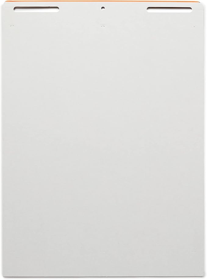 Amazon Basics Sticky Easel Pads for Presentations, 25 x 30 Inch, White, 2 Count