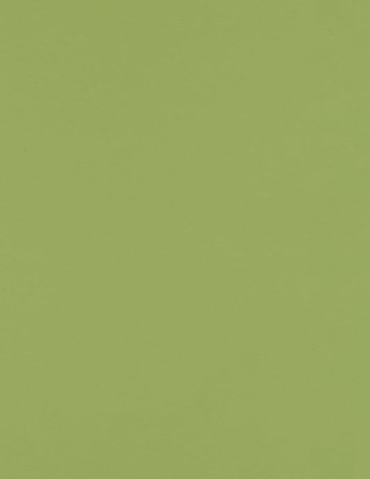 LUXPaper 8.5" x 11" Paper | Letter Size | Avocado Green | 70lb. Text | 250 Qty