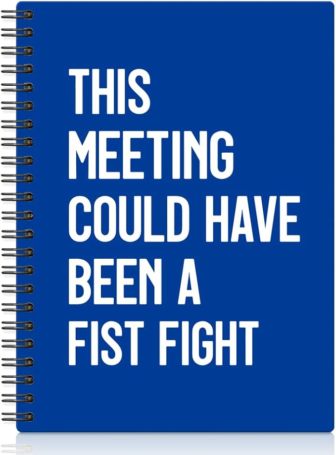 XQLZY This Meeting Could Have Been A Fist Fight Klein Blue Spiral Notebook, Funny Corporate Humor Notepad, Office Sarcastic Humor Gifts for Men Women Coworker BFF Friend, Coworker Christmas Gifts