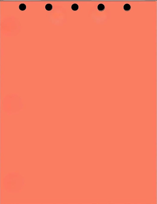 Limited Papers(TM) Writing and Copy Paper, Variation of Colors 8.5" x 11", 5 Hole Top-Punched, 20 Pound Text, 500 Sheets Per Ream. (2500, Salmon)