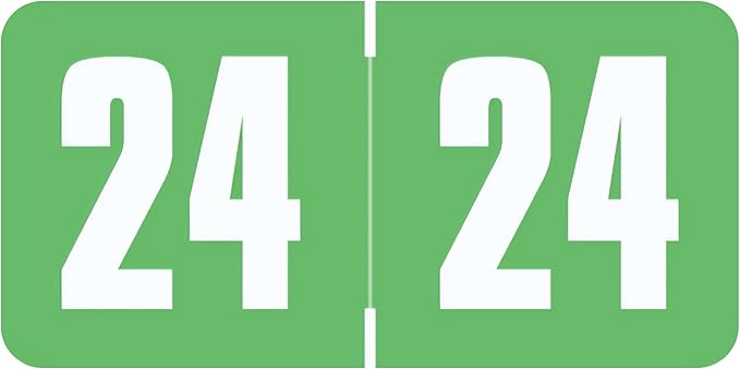 2024 Year Stickers, Doctor Stuff 2024 Chart Stickers, Safeguard Style Ringbook Sheets, Light Green Color Coded, USA Made Year Labels for End Tab File Folders, 270/Package, 3/4" x 1-1/2"
