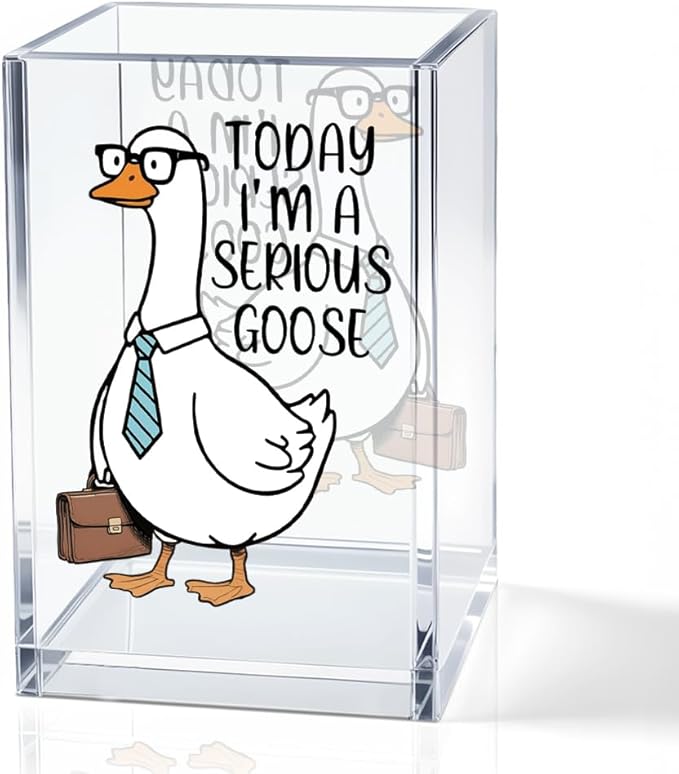 QYUVK Today I'm A Serious Goose Acrylic Cosmetic Pencil Holder Cup, Funny Silly Goose Pen Holder Gifts For Women Men Friends HR Boss, Office Sarcastic Humor Gifts for Coworkers, Goose Lover Present