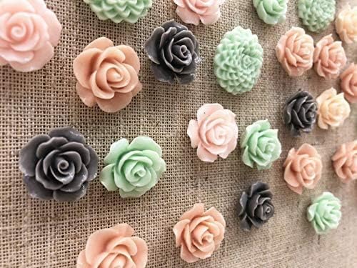 24Pcs Decorative Pushpins,Cork Board Tacks,Bulletin Board Tacks,Thumb Tack Decorative for CorkBoard, Office Organization or Home