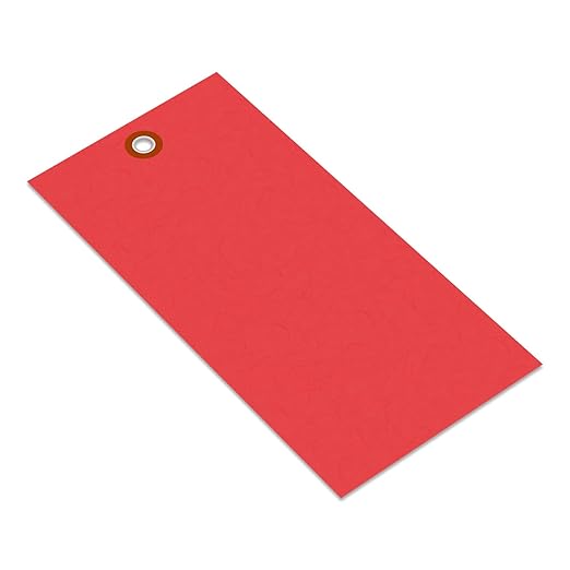 SmartSign (Pack of 100) 6.25 x 3.125 inch “Red” Blank Tyvek Shipping Tags with Metal Eyelets, Size #8, 8 mil Thick Tyvek