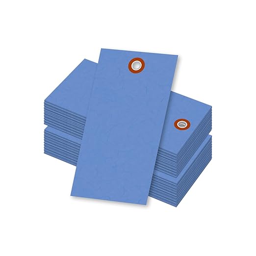 SmartSign (Pack of 100) 4.75 x 2.375 inch “Blue” Blank Tyvek Shipping Tags with Metal Eyelets, Size #5, 8 mil Thick Tyvek, Made in USA
