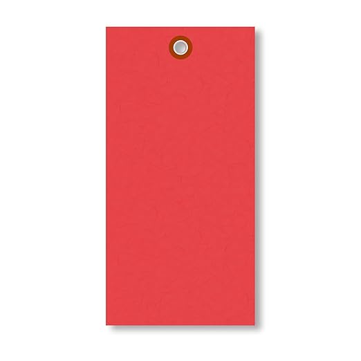SmartSign (Pack of 100) 6.25 x 3.125 inch “Red” Blank Tyvek Shipping Tags with Metal Eyelets, Size #8, 8 mil Thick Tyvek