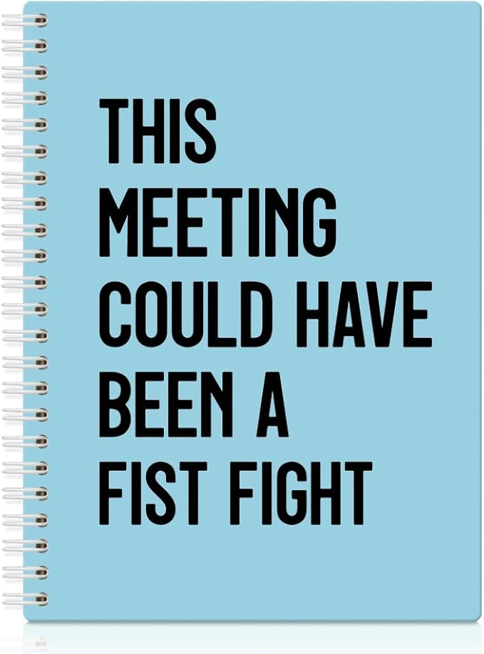XQLZY This Meeting Could Have Been A Fist Fight Blue Spiral Notebook, Funny Corporate Humor Notepad, Office Sarcastic Humor Gifts for Men Women Coworker BFF Friend, Coworker Christmas Gifts