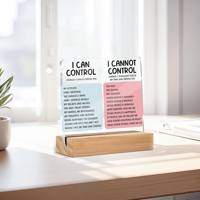 Mental Health Desk Decor Things I Can Control Acrylic Sign, Inspirational Gifts for Women Men Coworkers, Therapist Office Art Decor for Desk Gadgets Table Top Cubicle Living Room Bedroom Decorations 2