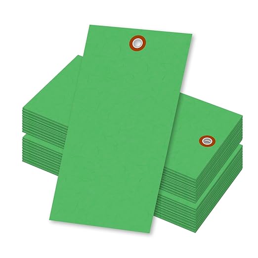 SmartSign (Pack of 100) 6.25 x 3.125 inch “Green” Blank Tyvek Shipping Tags with Metal Eyelets, Size #8, 8 mil Thick Tyvek, Made in USA