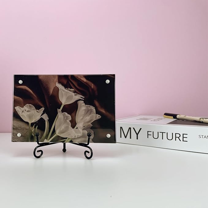 HENABLE 6PCS Premium Black Iron Plate Stands for Display 4 Inch, Decorative Solid Metal Plate Holders for Displaying, Mini Easel, Frame, Book, Card, Plaque, Bowl, Picture Stands for Display