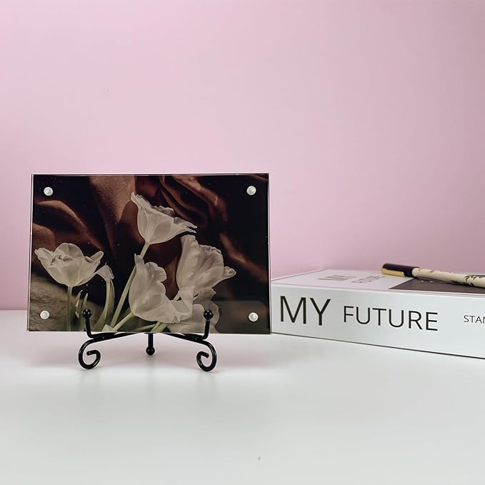 HENABLE 4PCS Premium Black Iron Plate Stands for Display 4 Inch, Decorative Solid Metal Plate Holders for Displaying, Mini Easel, Frame, Book, Card, Plaque, Bowl, Picture Stands for Display