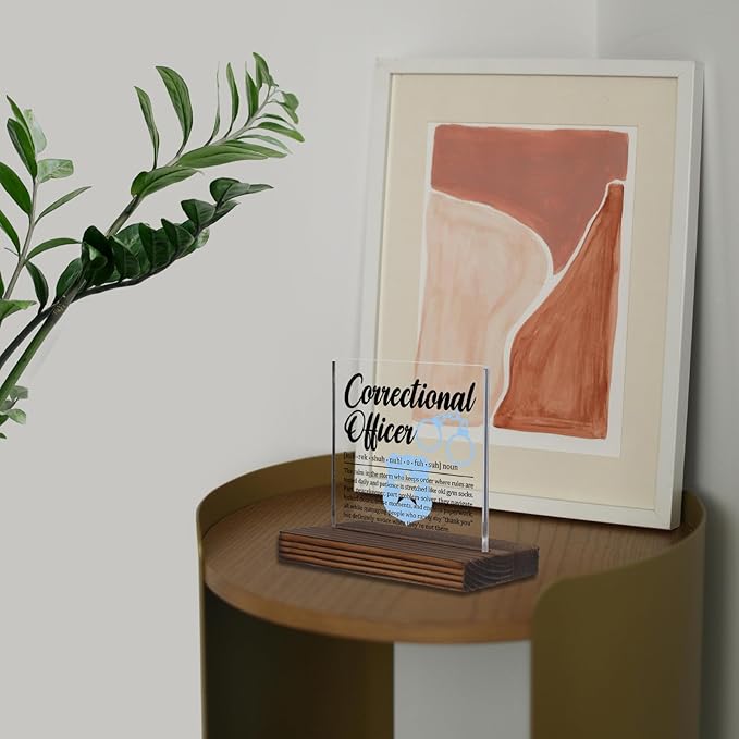 Correctional Officer Gift Desk Sign, Thank You Plaque for Prison Staff, Law Enforcement Office Decor for CO Appreciation Week, Retirement or Promotion Present PA058