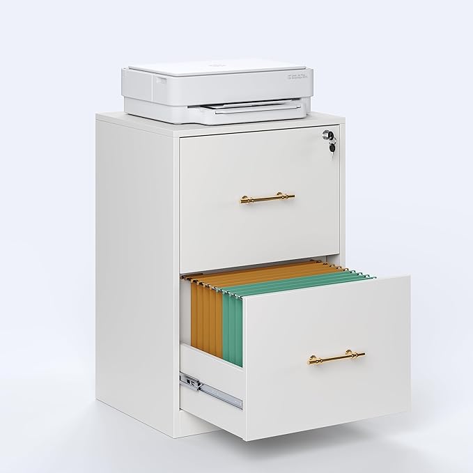 GFGWXW 2 Drawer Vertical File Cabinet with Lock, Suitable for Letter/A4/F4/Legal Size Hanging Files,Small Wood Filing Storage Cabinets Printer Stand for Home Office,White