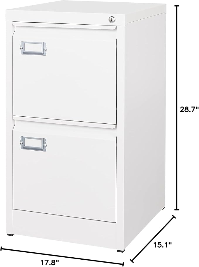 BYNSOE 2 Drawer File Cabinet with Lock Metal Vertical Filing Storage Cabinet Office Home Steel Vertical File Cabinets for A4 Legal/Letter Size Narrow File Cabinet Locked,Assembly Required