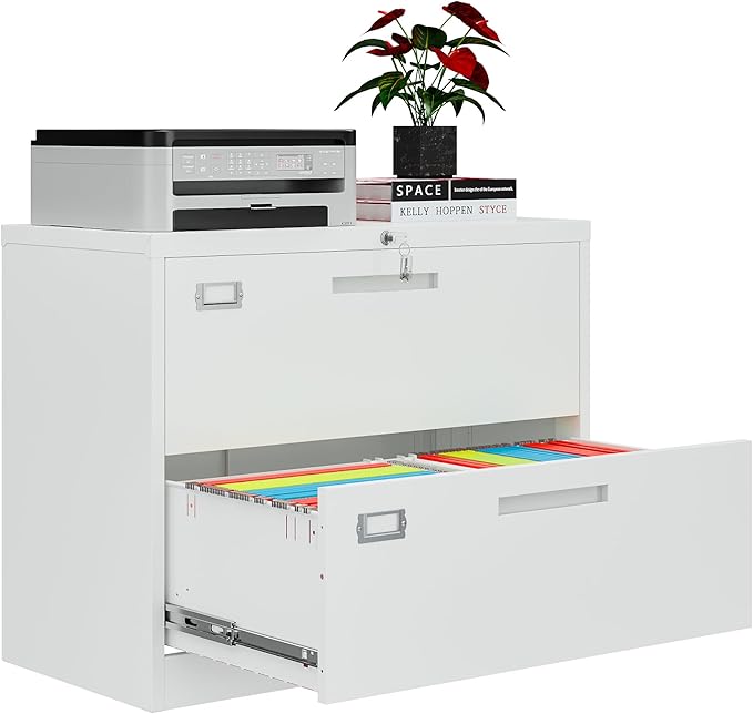 AFAIF 2 Drawer File Cabinets for Home Office, Metal Filing Cabinet with Lock, White Locking File Caninet Two Drawer, Office Storage Caninets Steel Cabnet for Letter/Legal/A4/F4-Assembly Required