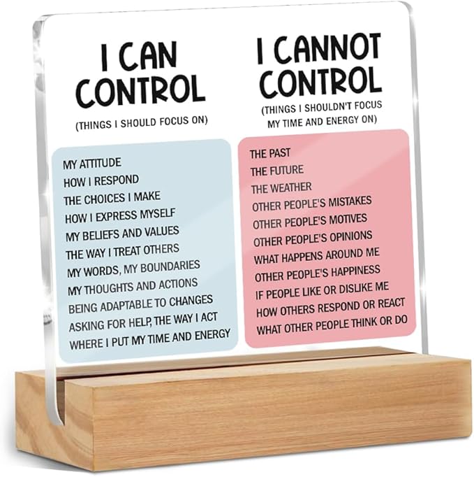 Mental Health Desk Decor Things I Can Control Acrylic Sign, Inspirational Gifts for Women Men Coworkers, Therapist Office Art Decor for Desk Gadgets Table Top Cubicle Living Room Bedroom Decorations 2