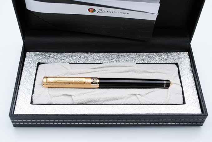 Picasso 902 Gentleman Collection Fountain Pen Original Box (Relievo1)