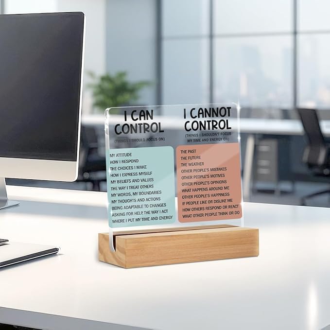 Mental Health Desk Decor Things I Can Control Acrylic Sign, Inspirational Gifts for Women Men Coworkers, Therapist Office Art Decor for Desk Gadgets Table Top Cubicle Living Room Bedroom Decorations 1