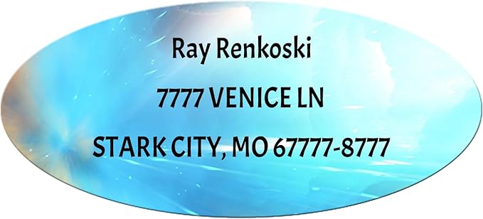 Made in USA Custom Return Address Stickers Labels Customized Mailing Label for Envelopes, Personalized Self Adhesive Flat Sheet Oval Labels