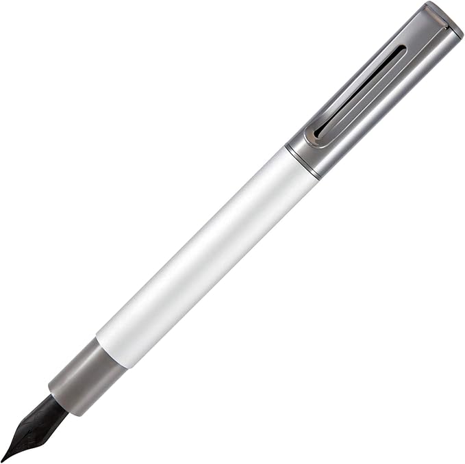 Monteverde USA Ritma Fountain Pen in Silver – Extra Fine Nib, Precision JoWo Stainless Steel, Refillable Ink Cartridge/Converter – Ideal for Professionals & Artists