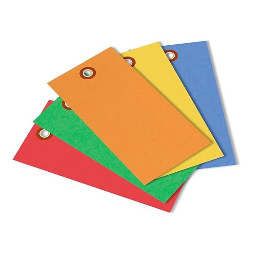 SmartSign (Pack of 1000) 4.75 x 2.375 inch Multi Colored Blank Tyvek Shipping Tags with Metal Eyelets, Size #5, 8 mil Thick Tyvek