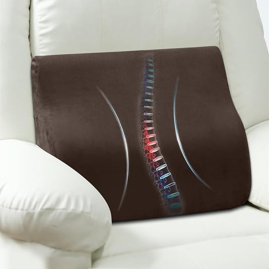 AHUAWA Back Support Pillow for Recliner Chair, Memory Foam Couch Back Cushions Ergonomic Large Lumbar Support Pillow for Lower Back Pain Relief, with Soft Velvet