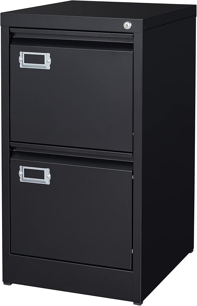 BYNSOE 2 Drawer File Cabinet with Lock Metal Vertical Filing Storage Cabinet Office Home Steel Vertical File Cabinets for A4 Legal/Letter Size Narrow File Cabinet Locked,Assembly Required