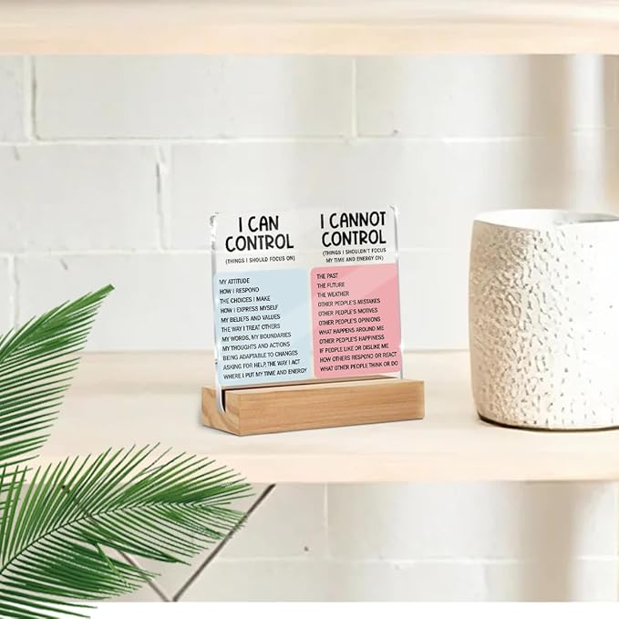 Mental Health Desk Decor Things I Can Control Acrylic Sign, Inspirational Gifts for Women Men Coworkers, Therapist Office Art Decor for Desk Gadgets Table Top Cubicle Living Room Bedroom Decorations 2