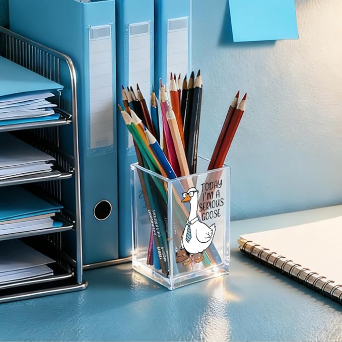 QYUVK Today I'm A Serious Goose Acrylic Cosmetic Pencil Holder Cup, Funny Silly Goose Pen Holder Gifts For Women Men Friends HR Boss, Office Sarcastic Humor Gifts for Coworkers, Goose Lover Present