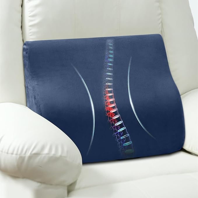 AHUAWA Back Support Pillow for Recliner Chair, Memory Foam Couch Back Cushions Ergonomic Large Lumbar Support Pillow for Lower Back Pain Relief, with Soft Velvet