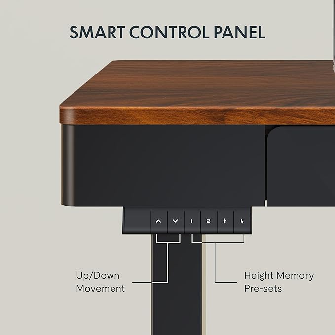 FLEXISPOT Q5 Standing Desk with Drawer, 48 x 24 Inch Electric Adjustable Height Stand Up Desk with Storage Organizer, Whole Piece Wooden Desktop for Home, Office, Computer Workstation, Dark Walnut