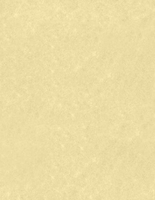LUXPaper 8.5" x 11" Paper | Letter Size | Gold Parchment | 60lb. Text | 250 Qty