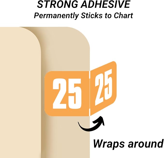 2025 Year Stickers, Doctor Stuff 2025 Chart Stickers, Safeguard Style Ringbook Sheets, Light Orange Color Coded, USA Made Year Labels for End Tab File Folders, 270/Package, 3/4" x 1-1/2"