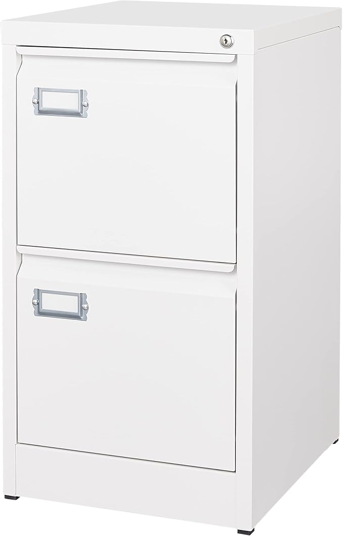 BYNSOE 2 Drawer File Cabinet with Lock Metal Vertical Filing Storage Cabinet Office Home Steel Vertical File Cabinets for A4 Legal/Letter Size Narrow File Cabinet Locked,Assembly Required