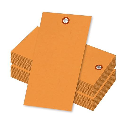 SmartSign (Pack of 100) 6.25 x 3.125 inch “Orange” Blank Tyvek Shipping Tags with Metal Eyelets, Size #8, 8 mil Thick Tyvek, Made in USA