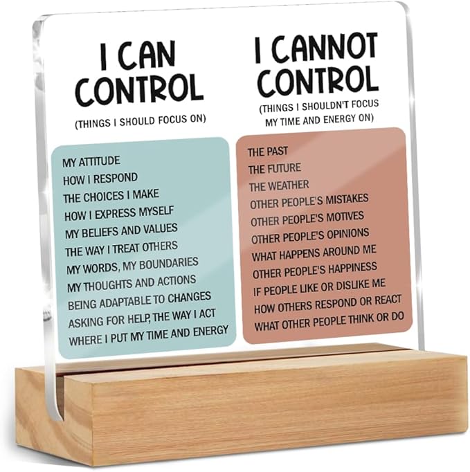 Mental Health Desk Decor Things I Can Control Acrylic Sign, Inspirational Gifts for Women Men Coworkers, Therapist Office Art Decor for Desk Gadgets Table Top Cubicle Living Room Bedroom Decorations 1