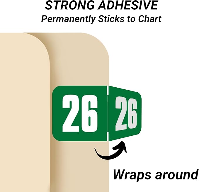 2026 Year Stickers, Doctor Stuff 2026 Chart Stickers, Safeguard Style Ringbook Sheets, Green Color Coded, USA Made Year Labels for End Tab File Folders, 270/Package, 3/4" x 1-1/2"