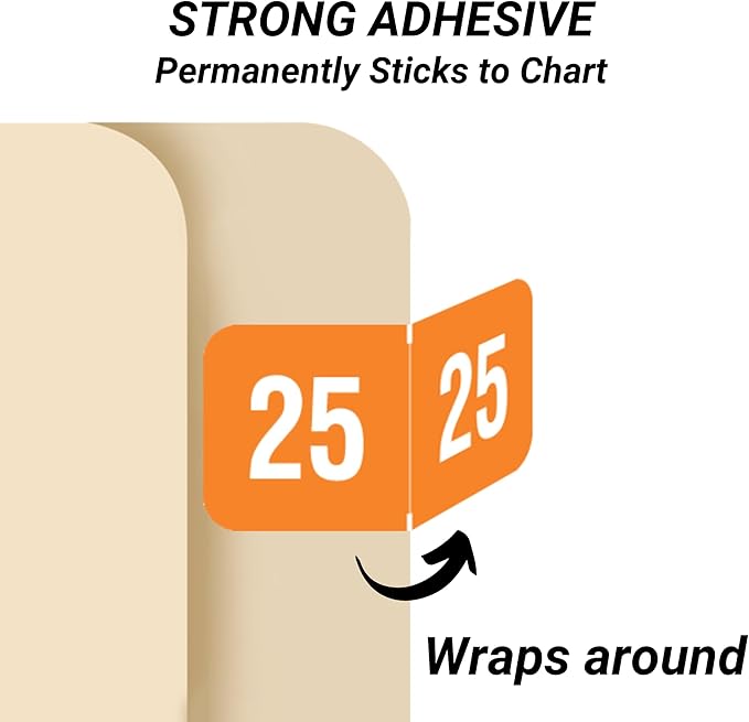 2025 Year Labels, Doctor Stuff 2025 Chart Stickers, Orange/White Color Coded, Reynolds & Reynolds Style, USA Made Year Stickers for End Tab File Folders, 500/Roll, 1 Roll, 3/4" x 1-1/2"