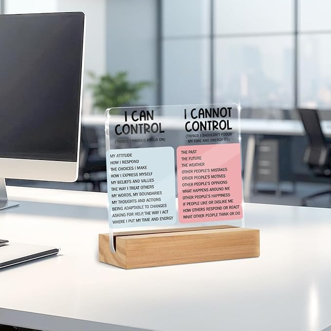 Mental Health Desk Decor Things I Can Control Acrylic Sign, Inspirational Gifts for Women Men Coworkers, Therapist Office Art Decor for Desk Gadgets Table Top Cubicle Living Room Bedroom Decorations 2