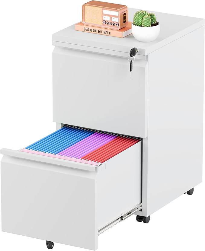 Greenvelly 2 Drawer Mobile File Cabinet with Lock, Metal Filing Cabinet on Wheels, Under Desk File Cabinet for Home Office Organizer Letter/Legal/A4 File (Assembly Required, White)
