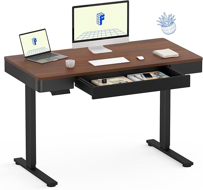 FLEXISPOT Q5 Standing Desk with Drawer, 48 x 24 Inch Electric Adjustable Height Stand Up Desk with Storage Organizer, Whole Piece Wooden Desktop for Home, Office, Computer Workstation, Dark Walnut
