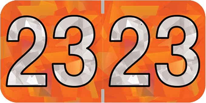 2023 Year Stickers, Doctor Stuff 2023 Chart Stickers, Holographic Orange Colored, USA Made Year Labels for End Tab File Folders, 500 Labels per Roll, 1 Roll, 3/4" x 1-1/2"