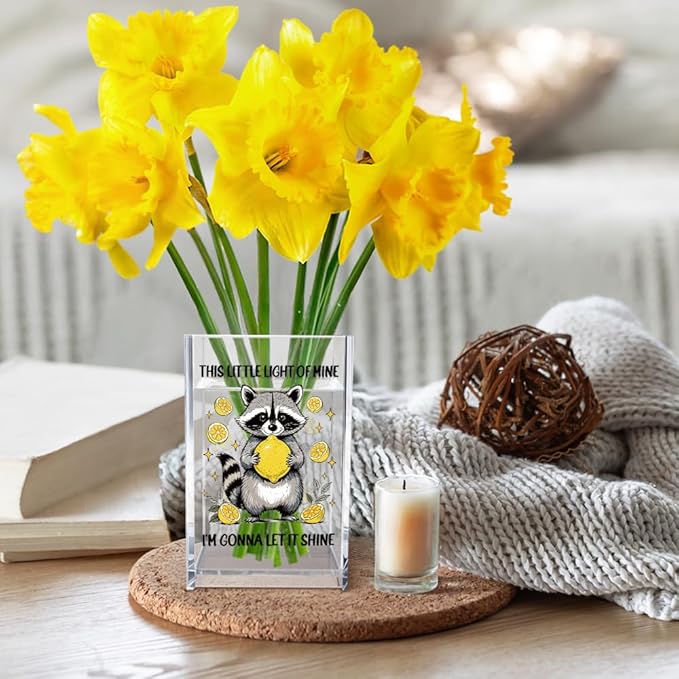 Vgrti This Little Light Of Mine I'm Gonna Let It Shine Acrylic Cosmetic Pencil Pen Holder Cup, Funny Raccoon Lemon Pen Holder Cup, Raccoon Lover Gifts, Mental Health Gifts for Women Colleague Teacher