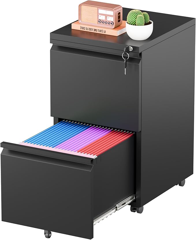 Greenvelly 2 Drawer Mobile File Cabinet with Lock, Metal Filing Cabinet on Wheels, Under Desk File Cabinet for Home Office Organizer Letter/Legal/A4 File (Assembly Required, Black)