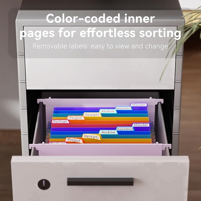 ThinkTex Plastic Expanding Hanging File Folders,12 Accordion Pockets,Large Capacity for Letter & A4 Size, Organizer for Filing Cabinet,Ideal for Tax,Contracts,Invoices,for Office,School-Purple-2set